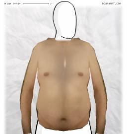 Torso