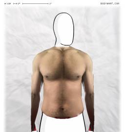 Torso