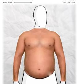 Torso