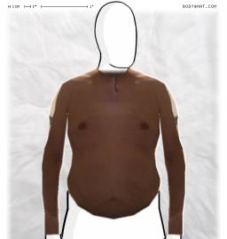 Torso