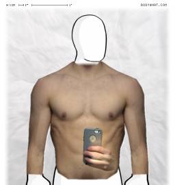 Torso