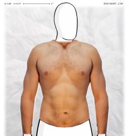 Torso