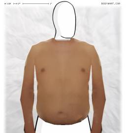 Torso