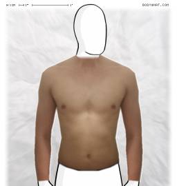 Torso