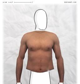 Torso