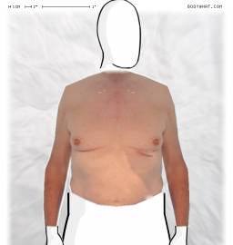 Torso