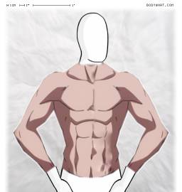 Torso