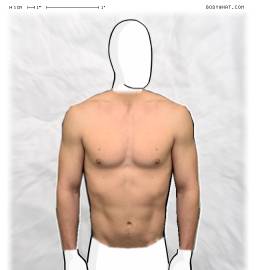 Torso