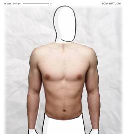 Torso
