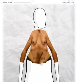 Torso