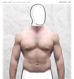Torso