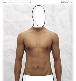 Torso