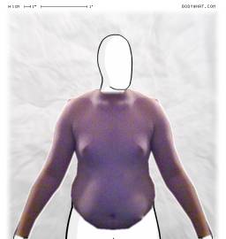 Torso