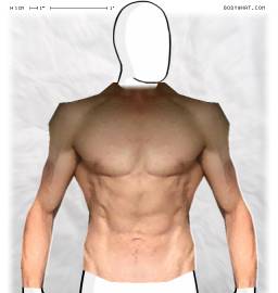 Torso