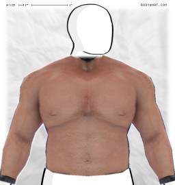 Torso