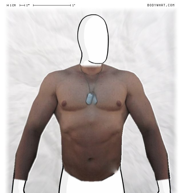 Picture 1