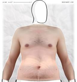 Torso