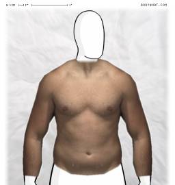 Torso
