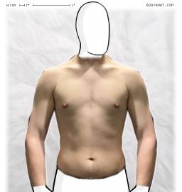 Torso