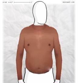 Torso