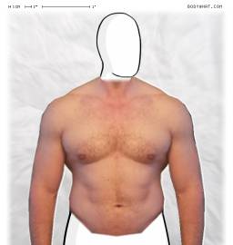 Torso