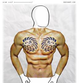 Torso