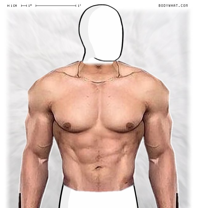 Picture 1