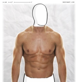 Torso