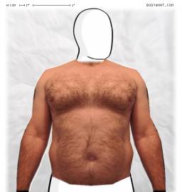 Torso