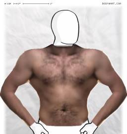 Torso