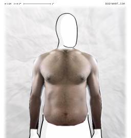 Torso