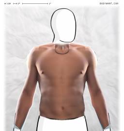 Torso