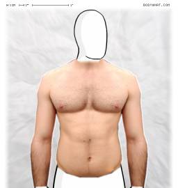 Torso