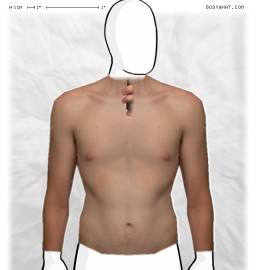 Torso