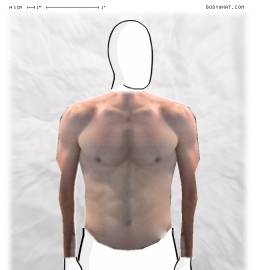 Torso