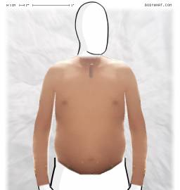 Torso