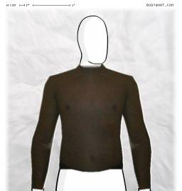 Torso