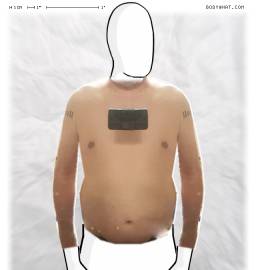 Torso