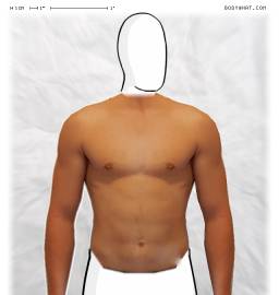 Torso