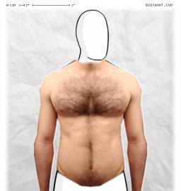 Torso