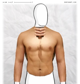 Torso