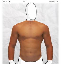 Torso