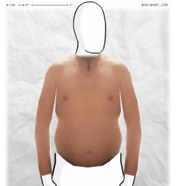 Torso