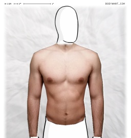 Torso