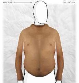 Torso
