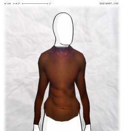 Torso