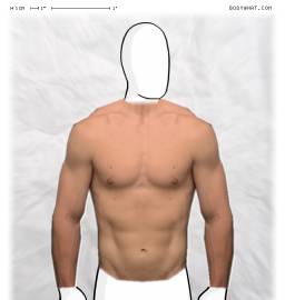 Torso