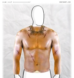 Torso