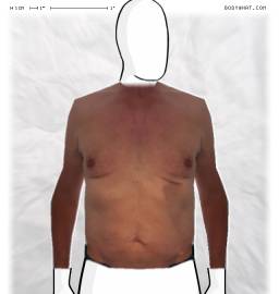 Torso