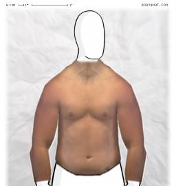 Torso